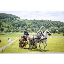Bartha Eduárd végzett az élmezőnyben. Sikeresen lezajlott az oltszemi fogathajtó verseny 